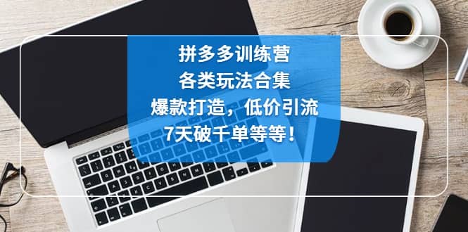 拼多多训练营：各玩法合集，爆款打造，低价引流，7天破千单等等-互创学社