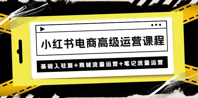 小红书电商高级运营课程：基础入驻篇+商城流量运营+笔记流量运营-互创学社