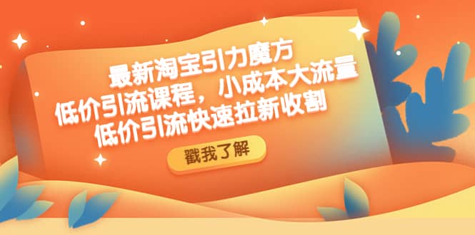 最新淘宝引力魔方低价引流实操：小成本大流量-互创学社
