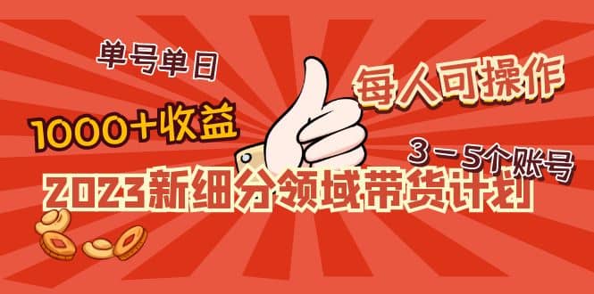 2023新细分领域带货计划：单号单日1000+收益不难，每人可操作3-5个账号-互创学社