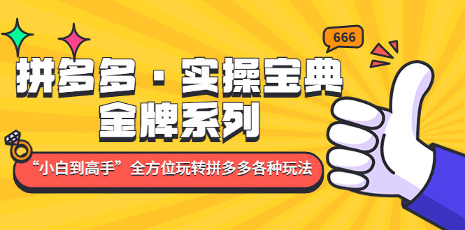 拼多多·实操宝典：金牌系列“小白到高手”带你全方位玩转拼多多各种玩法-互创学社