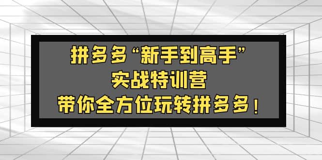 拼多多“新手到高手”实战特训营：带你全方位玩转拼多多-互创学社