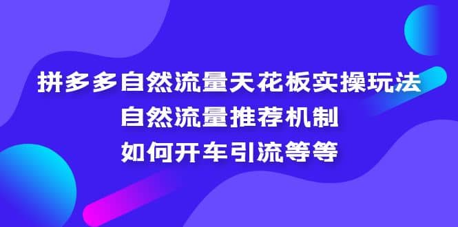 拼多多自然流量天花板实操玩法：自然流量推荐机制，如何开车引流等等-互创学社