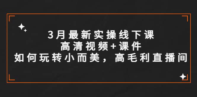 3月最新实操线下课高清视频+课件，如何玩转小而美，高毛利直播间-互创学社