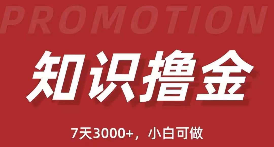 抖音知识撸金项目：执行力强当天见收益(教程+资料)-互创学社