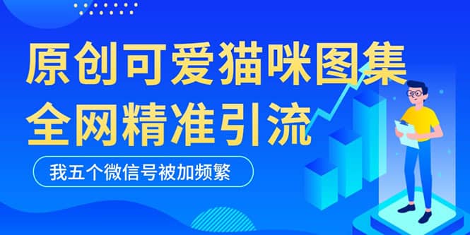 黑科技纯原创可爱猫咪图片，全网精准引流，实操5个VX号被加频繁-互创学社