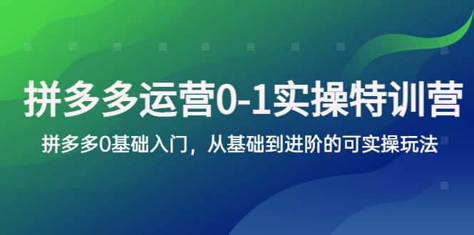 拼多多-运营0-1实操训练营，拼多多0基础入门，从基础到进阶的可实操玩法-互创学社
