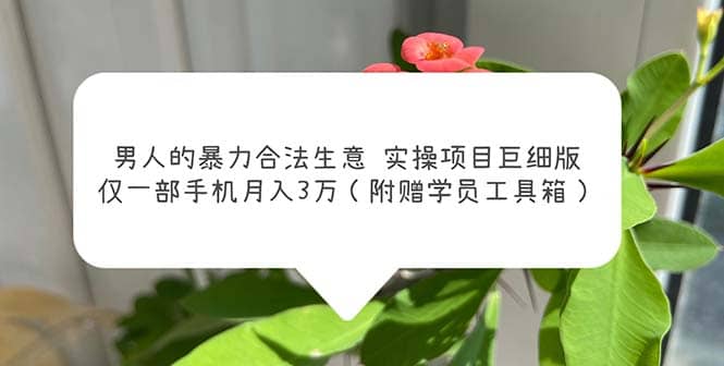 男人的暴力合法生意实操项目巨细版：仅一部手机月入3w（附赠学员工具箱）-互创学社