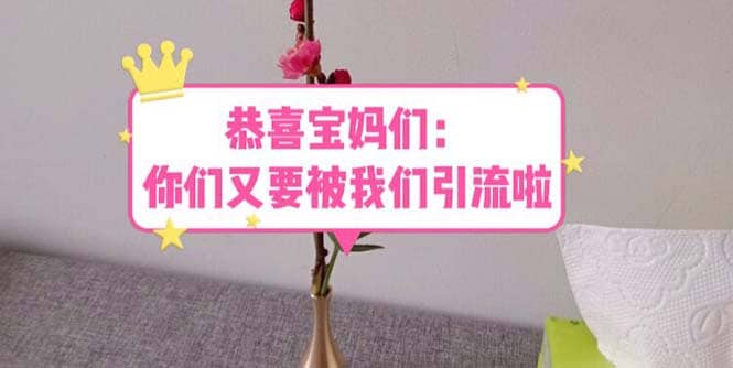 恭喜宝妈们：你们又要被我们引流了（教程+222g资料）-互创学社