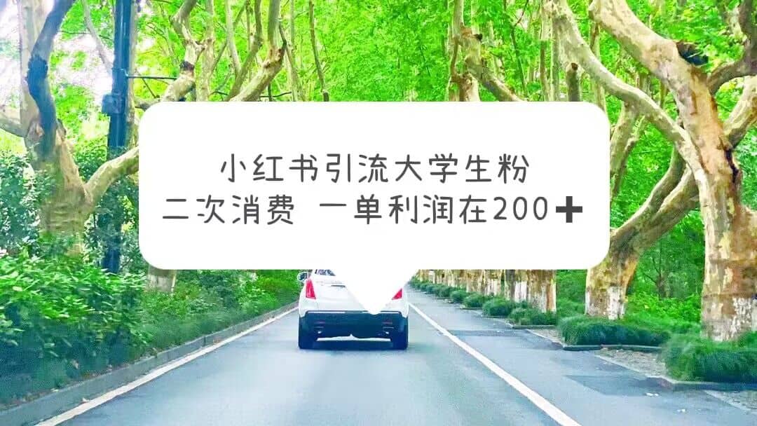 小红书引流大学生粉，变现项目，一单利润在200+（教程+资源）-互创学社