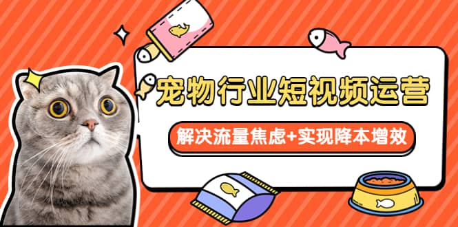 宠物/行业短视频运营 流量增长的一层窗户纸 解决流量焦虑+实现降本增效-互创学社