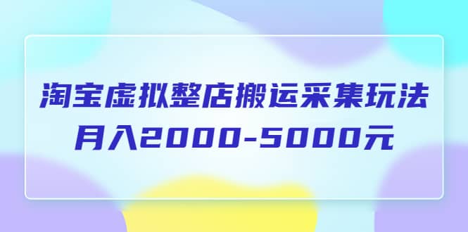 淘宝虚拟整店搬运采集玩法分享课：月入2000-5000元（5节课）-互创学社
