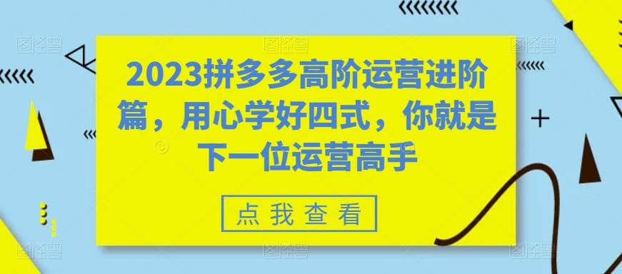 2023拼多多高阶运营进阶篇，用心学好四式，你就是下一位运营高手-互创学社