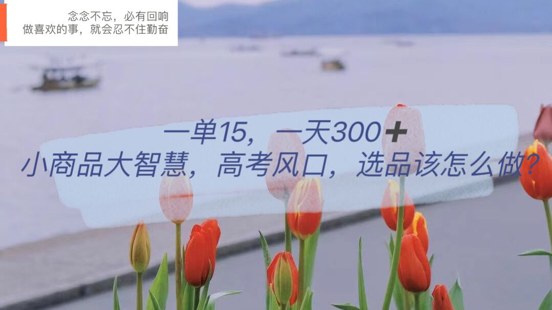 一单15，一天300+，小商品大智慧，高考风口，选品该怎么布局-互创学社