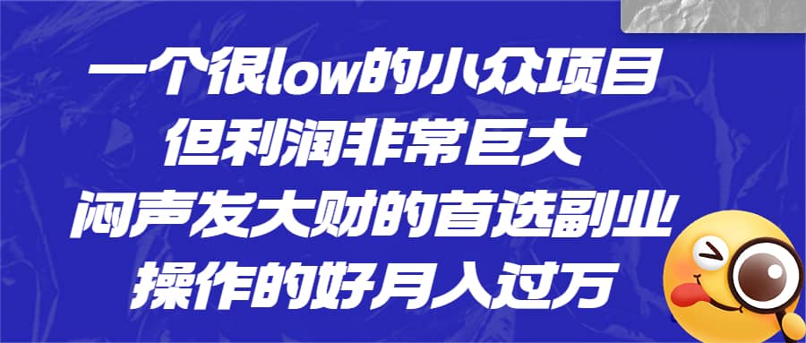 一个很low的小众项目，但利润非常巨大，闷声发大财的首选副业，月入过万-互创学社