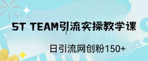 ST TEAM引流实操课，日引流网创粉100+-互创学社