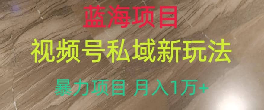 蓝海项目，视频号私域新玩法，暴力项目月入1万+【揭秘】-互创学社