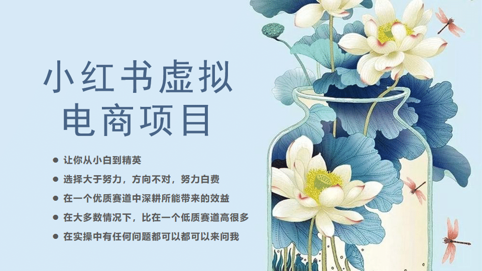 小红书虚拟电商从0到1，让你从小白到精英（20节实操课程）-互创学社