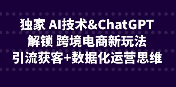 独家 AI技术ChatGPT解锁 跨境电商新玩法，引流获客+数据化运营思维-互创学社