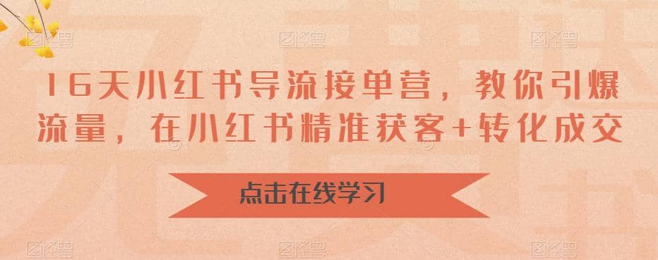 16天-小红书 导流接单营，教你引爆流量，在小红书精准获客+转化成交-互创学社
