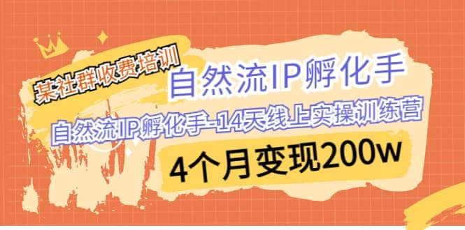 某社群收费培训：自然流IP 孵化手-14天线上实操训练营 4个月变现200w-互创学社