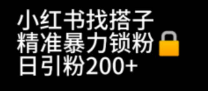 小红书找搭子暴力精准锁粉+引流日引200+精准粉-互创学社