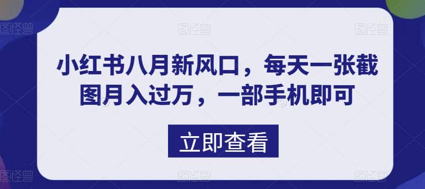 八月新风口，小红书虚拟项目一天收入1000+，实战揭秘-互创学社