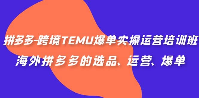 拼多多-跨境TEMU爆单实操运营培训班，海外拼多多的选品、运营、爆单-互创学社