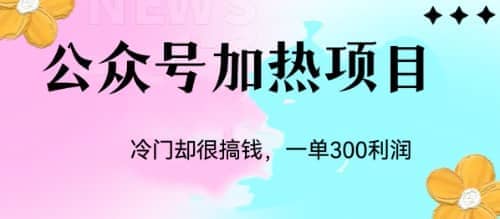 冷门公众号加热项目，一单利润300+-互创学社