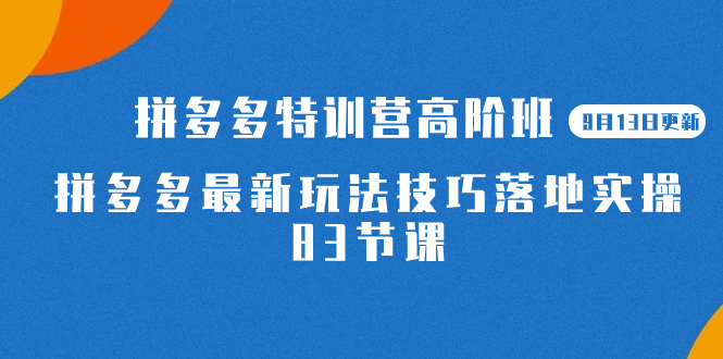 2023拼多多·特训营高阶班【9月13日更新】拼多多最新玩法技巧落地实操-83节-互创学社