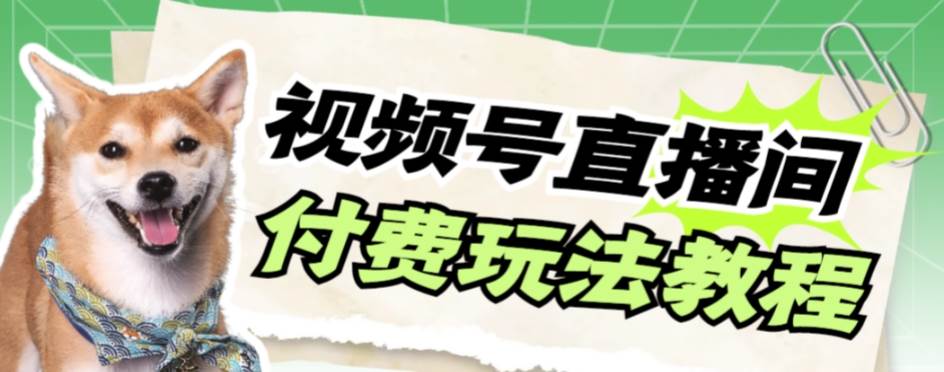 视频号美女付费无人直播，轻松日入500+【详细玩-互创学社