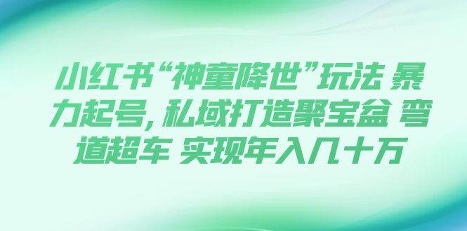 小红书“神童降世”玩法 暴力起号,私域打造聚宝盆 弯道超车 实现年入几十万-互创学社