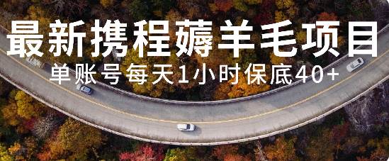 最新携程薅羊毛项目，单账号每天1小时保底收益40+，可矩阵操作-互创学社
