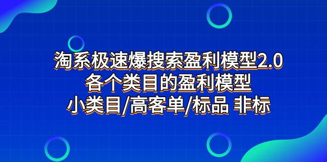 淘系极速爆搜索盈利模型2.0，各个类目的盈利模型，小类目/高客单/标品 非标-互创学社