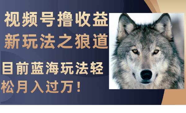 视频号撸收益新玩法之狼道，目前蓝海玩法轻松月入过万！-互创学社