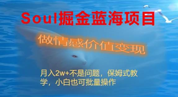 Soul掘金蓝海项目细分赛道，做情感价值变现，月入2w+不是问题-互创学社