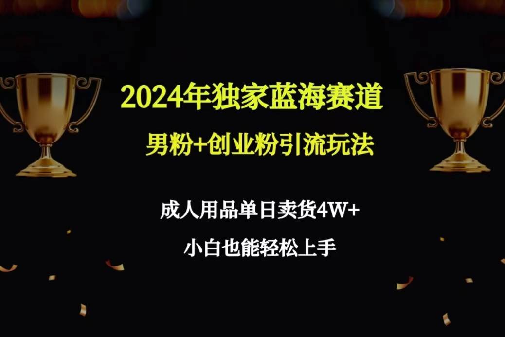 2024年独家蓝海赛道男粉+创业粉引流玩法，成人用品单日卖货4W+保姆教程-互创学社