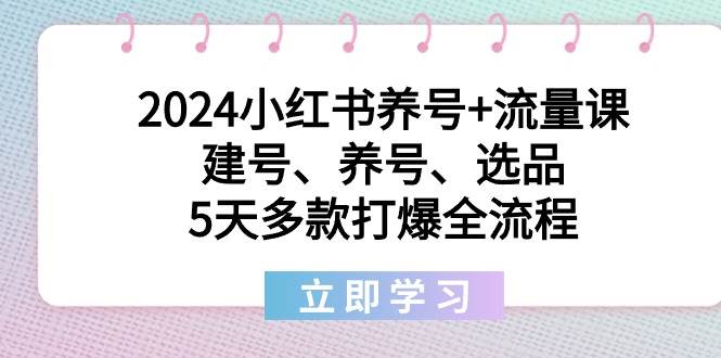 2024小红书养号+流量课：建号、养号、选品，5天多款打爆全流程-互创学社