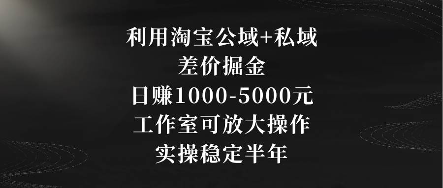 利用淘宝公域+私域差价掘金，日赚1000-5000元，工作室可放大操作，实操…-互创学社