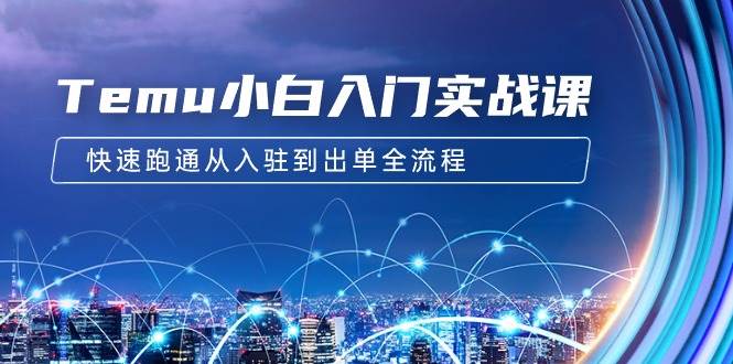 Temu小白入门实战课：跨境拼多多电商培训 快速跑通从入驻到出单全流程-12节-互创学社