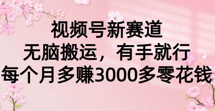 视频号新赛道，无脑搬运，有手就行，每个月多赚3000多零花钱-互创学社