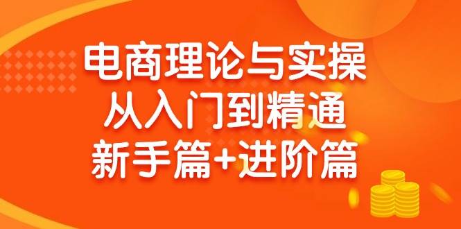 电商理论与实操从入门到精通 新手篇+进阶篇-互创学社