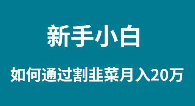 新手小白如何通过割韭菜月入 20W-互创学社