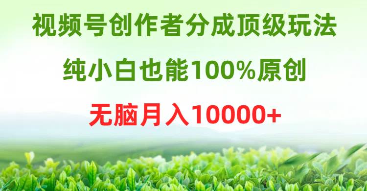 视频号创作者分成顶级玩法，纯小白也能100%原创，无脑月入10000+-互创学社