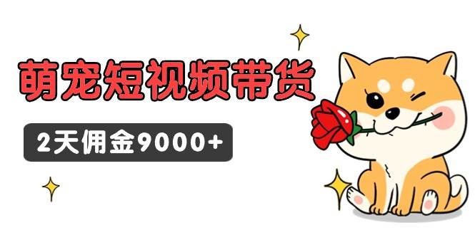 东哲日记·萌宠短视频带货，2天佣金9000+-互创学社