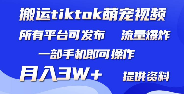 搬运Tiktok萌宠类视频，一部手机即可。所有短视频平台均可操作，月入3W+-互创学社