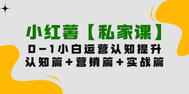 小红薯【私家课】0-1玩赚小红书内容营销，认知篇+营销篇+实战篇（11节课）-互创学社