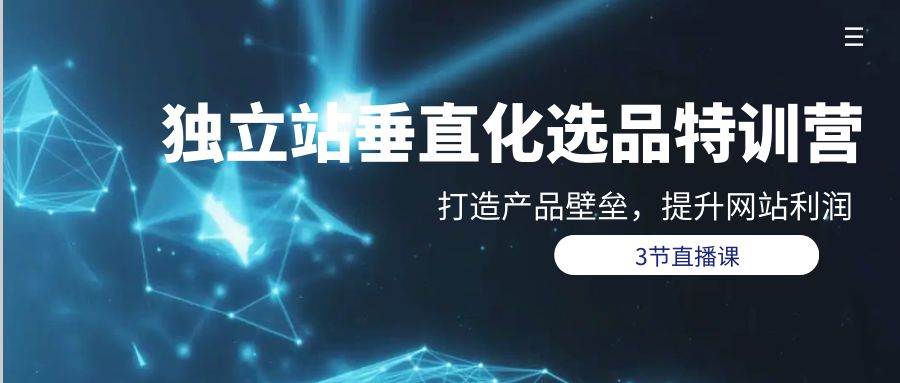 独立站-垂直化选品训练营，打造产品壁垒，提升网站利润（3节直播课）-互创学社