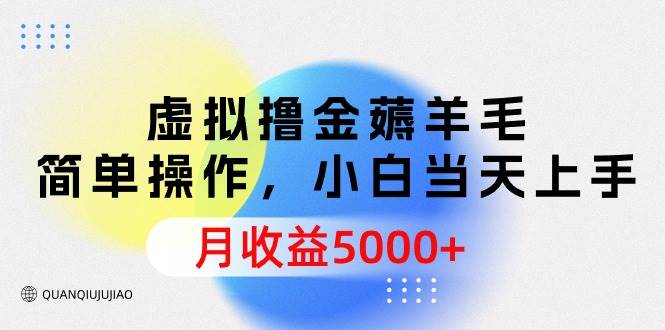 虚拟撸金薅羊毛，简单操作，小白当天上手，月收益5000+-互创学社