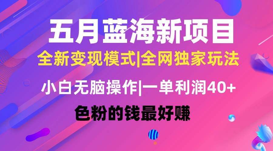 五月蓝海项目全新玩法，小白无脑操作，一天几分钟，矩阵操作，月入4万+-互创学社